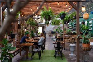 Social Club Tolhouse