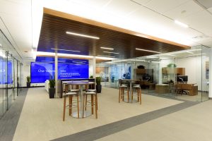 Venture Visionary Partners