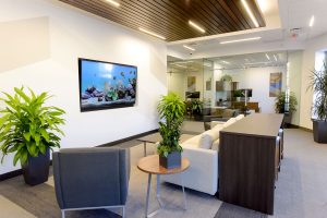 Venture Visionary Partners